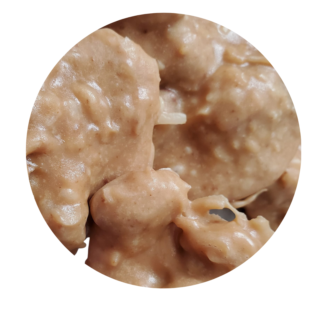 1lb (16oz) Pralines with Coconut and Pecans (only made in 1lb orders)