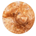 ½ lb (8oz) Pralines with Pecans