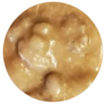 1/2 lb Pralines with Walnuts